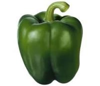 Capsicum