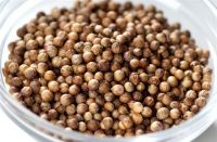 Coriander from Ukraine