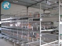 chicken cage, broiler cage, poultry rearing cage