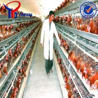 https://ar.tradekey.com/product_view/A-Type-Chicken-Layer-Cage-Manufacturer-7062294.html