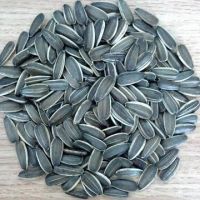 Black sunflower seeds