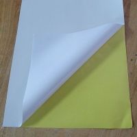 PET/PE/PVC Adhesive label Paper