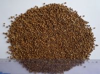 Coriander seed