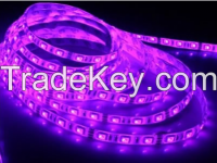 3528 SMD  LED Light Strips  purple DC12V