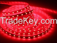 5050 SMD  LED Light Strips red color 60LED/meter non-waterproof