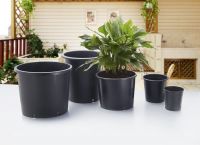 cheap black gallon pots , 1 2 3 4 5 7 10 15 gallon pots
