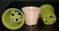 Biodegradable Flower Pots, Eco Friendly Plant Pots