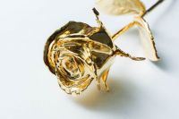 24k gold rose stem