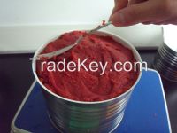 Drum Packing Tomato Paste with Brix 28-30% 30-32% 36-38%