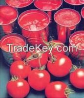 Best price for Canned Tomato Paste in Sachet
