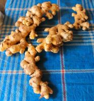 Indonesian Fresh Ginger