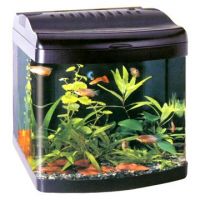 aquarium; aquarium tank