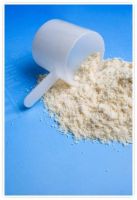 Organic Whey Protein Powder