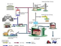 Biomass Power