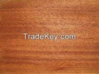 African Mahogany