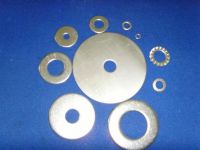 Stainless Steel Washers