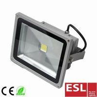 LED Flood Light