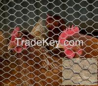 hexagonal weaving retaining wall wire netting/Gabion box