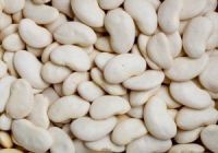 Lima Beans/Butter Beans