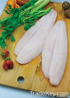 Pangasius Fillet