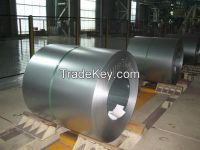 Hot Dipped Galvanised Steel Coils