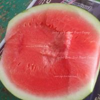 https://jp.tradekey.com/product_view/100-Seeds-Big-Long-Seedless-Watermelon-Heirloom-Aspermous-Sweet-Melon-Seeds-Pipless-Watermelon-7094478.html