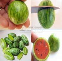 Vegetables And Fruit Seeds 100 Piece Mini Watermelon Seeds Taste Like Cucumbers Bonsai Plants Seeds For Home & Garden