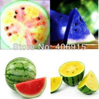 https://www.tradekey.com/product_view/4-Professional-Packs-50-Seeds-pack-Succulency-Blue-Rainbow-Yellow-Red-Water-Melon-Sweet-Fruit-Seeds-7094534.html