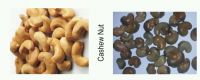 cashew nuts