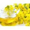 Refined / Crude rapeseed oil