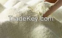 Skimmed Milk Powder