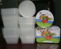 Takeaway containers for New South Wales Australia - Qui Phuc
