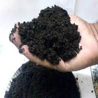 vermicompost