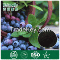 Natural Blueberry extract