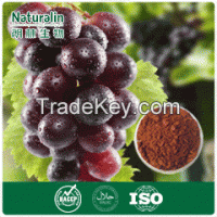 Grape Seed / Skin Extract