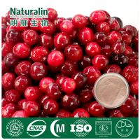 North America Origin Cranberry Extract