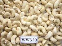 Best price, high quality Vietnamese Cashew nuts ww320/ Aim High