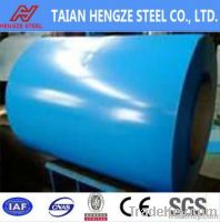 Hot sale Good appearance Prepainted steel sheet for refrigerator panel