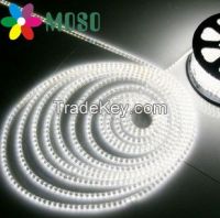 220V SMD5050 LED Strip Light