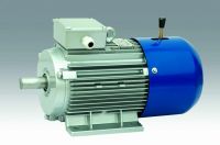 YEJ2 series electromagnetic brake motor