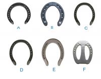 Horse shoes/horseshoes