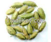 Green Cardamom