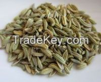 Fennel Seeds