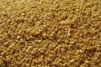 Corn gluten meal for animal feed