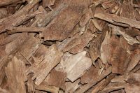 Agarwood Chips