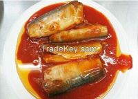 canned fish jack mackerel in water with HALAL