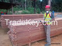 African Sawn Lumber 