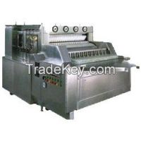 Tunnel Type Linear Vial Washing Machine