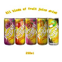 250ml Canned Apple Juice Drink --OME