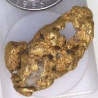 Gold Dust and Nuggets for sale 